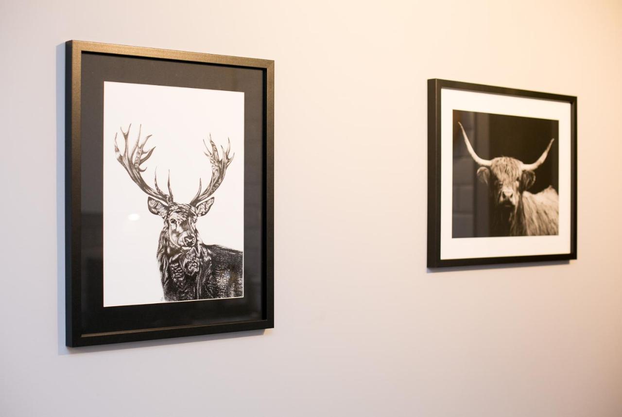 Malone Place Apartment Belfast Luaran gambar